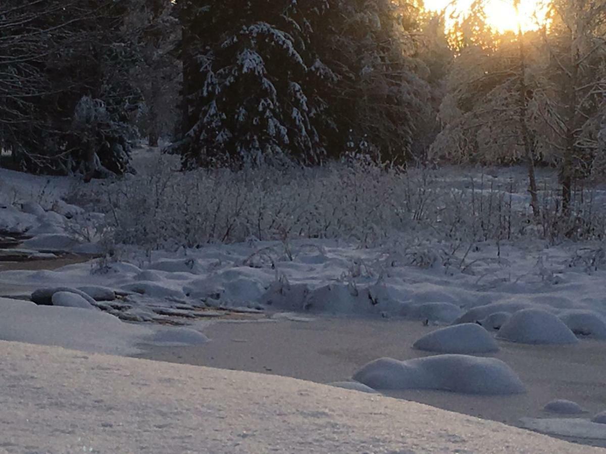 Hotel Seinaejoen Leirintaealue Seinäjoki Esterno foto